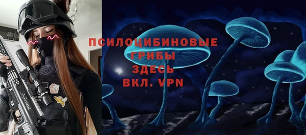 PSILOCYBIN Балабаново