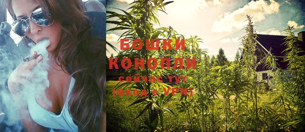 PSILOCYBIN Балабаново