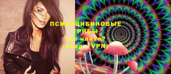 PSILOCYBIN Балабаново