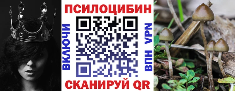Галлюциногенные грибы прущие грибы  Теберда 